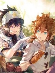 深入了解 麻豆天美星空果冻系列传媒